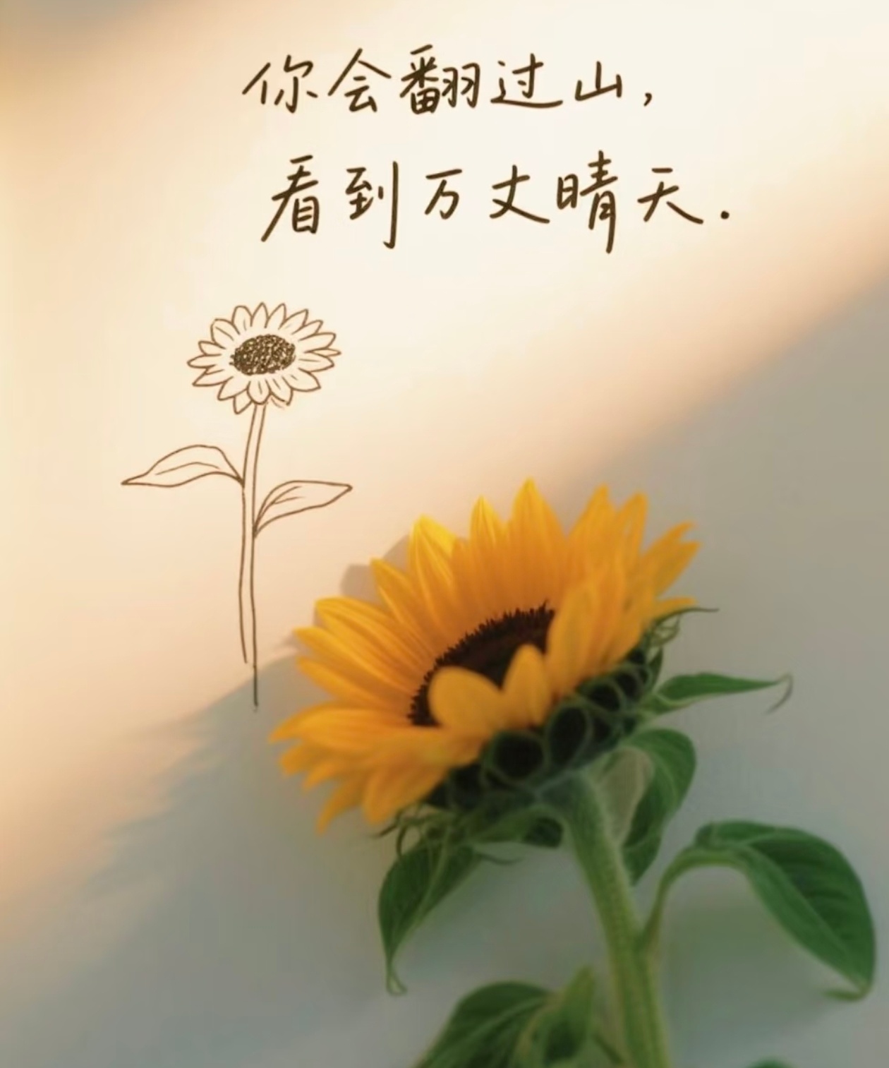 珍惜现在拥有的，耐心等待即将拥有的，放下执念太深的，别想乱七八糟的，余生很贵，开