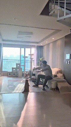 刷到这个温馨画面特别有意思，主人坐在沙发上抬手示范，面前的小猫直直站起，跟着抬起