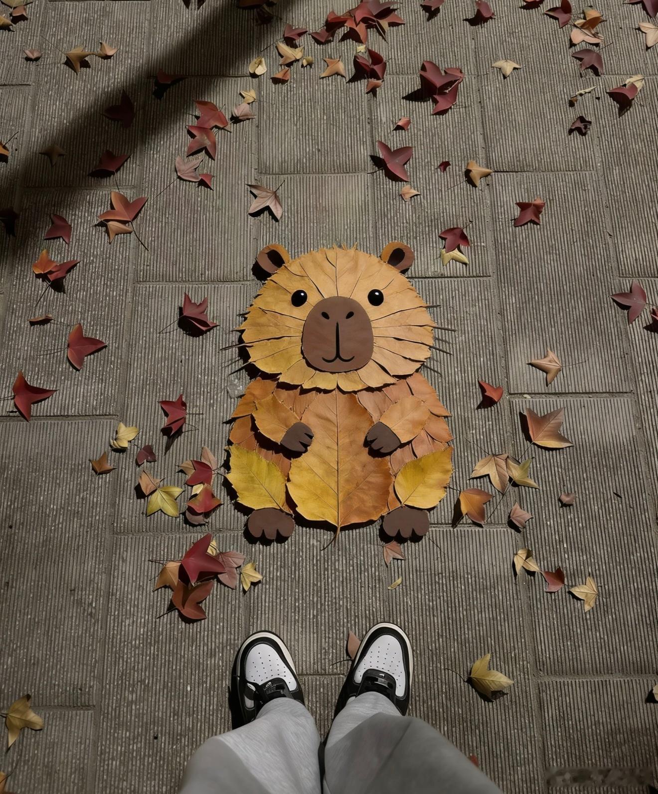 习惯了独处，但又害怕孤独。 