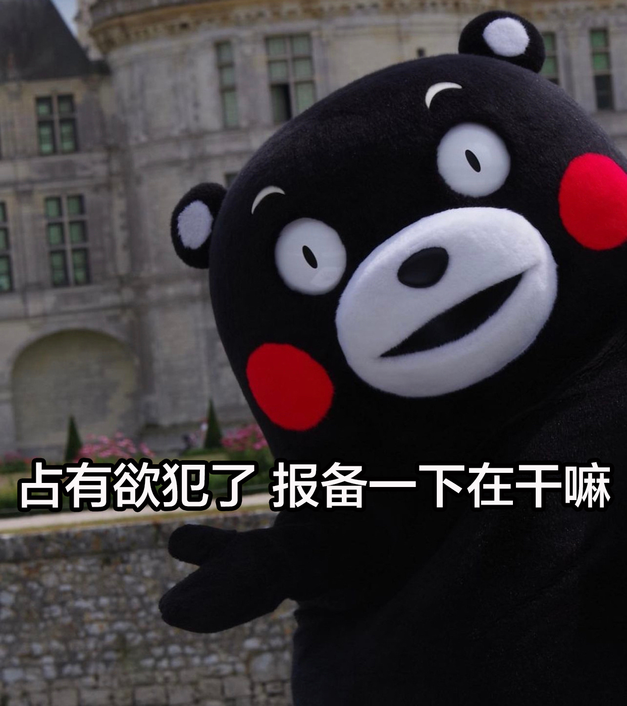 今天的表情包～～ ​​​