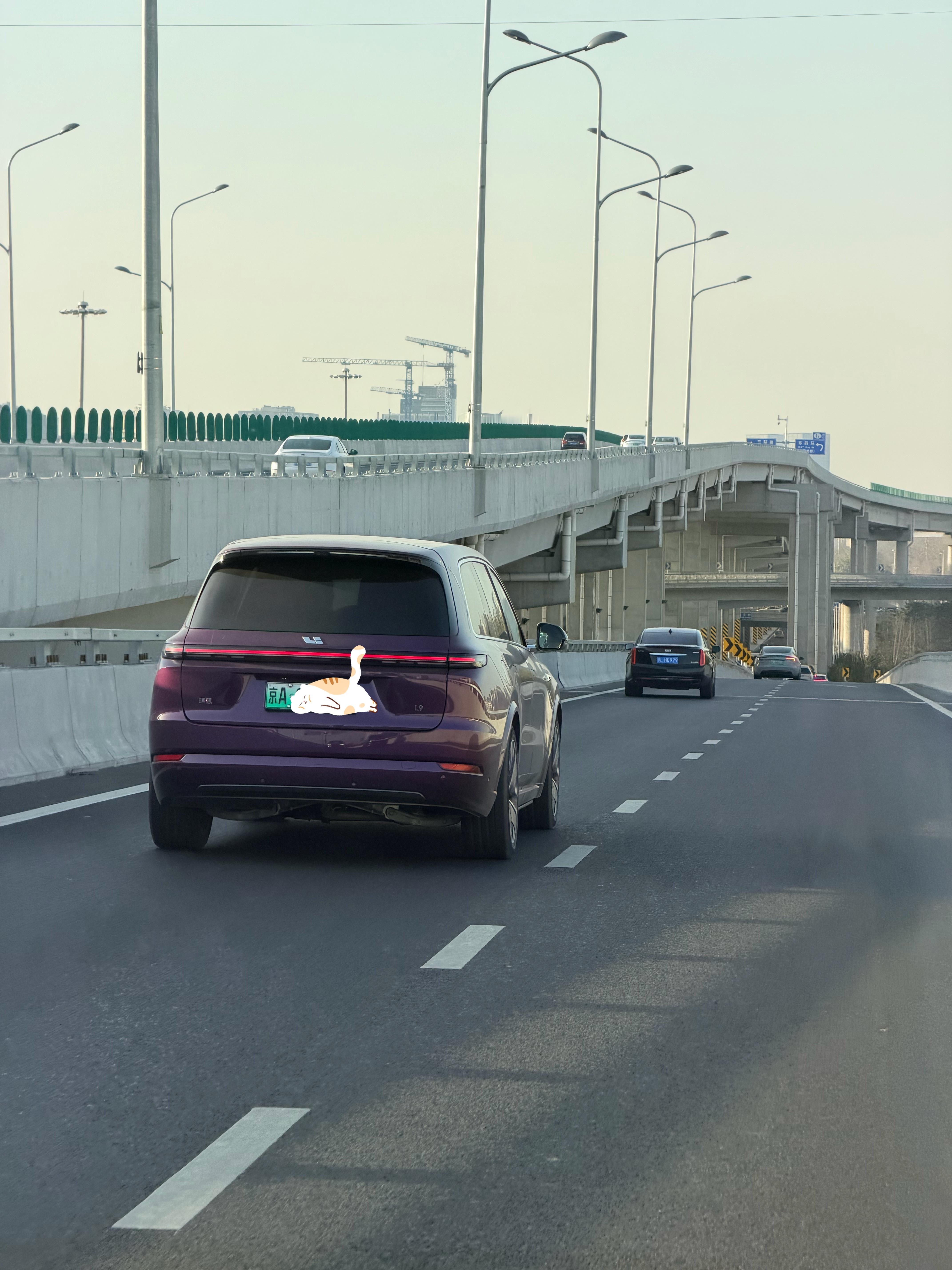 这个紫色的 L9还是帅，当时在绿色和紫色上犹豫了挺久。理想l9