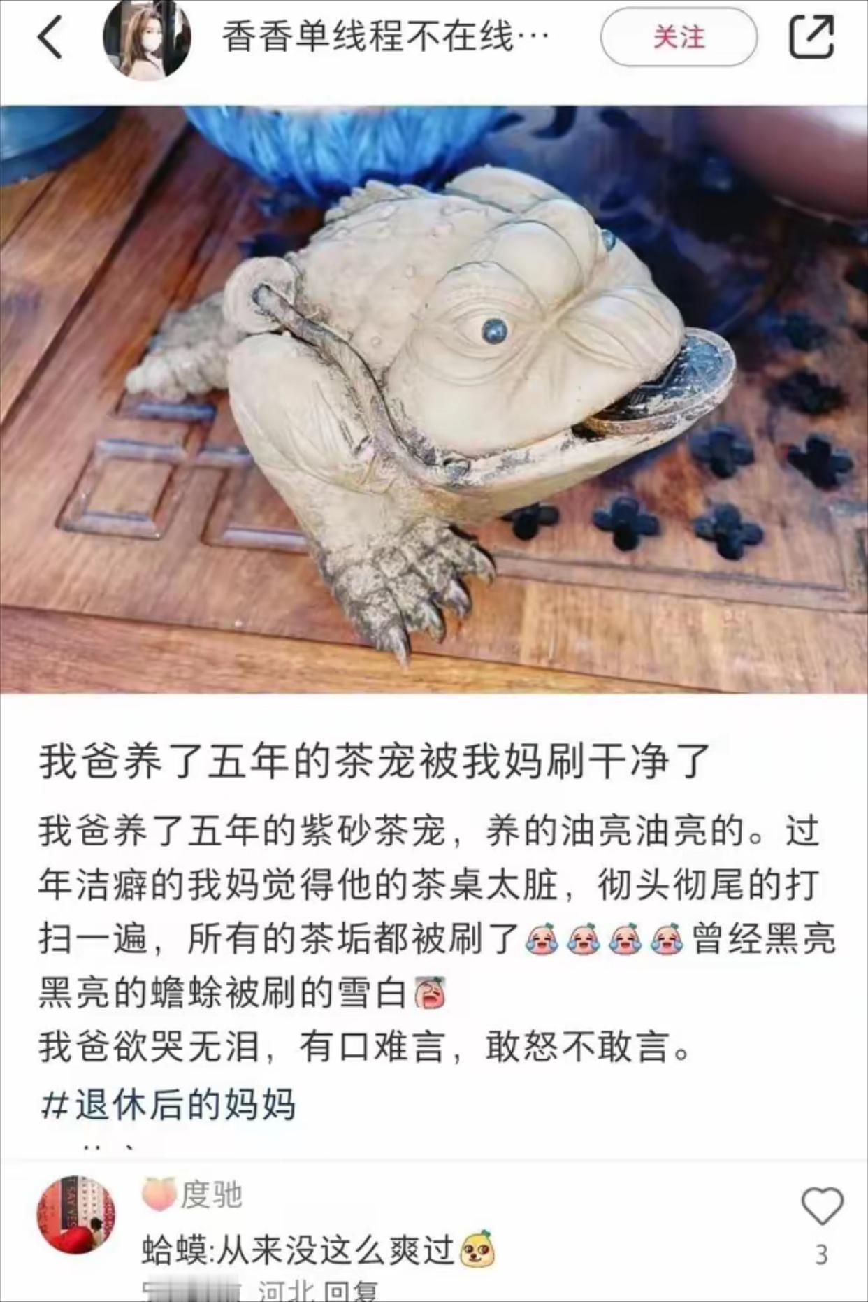 妈妈指定老得意老骄傲老自豪了 ​​​