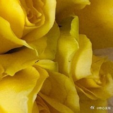 阳光信用 每日一善 当一个人使劲踮起脚尖，靠近太阳的时候，全世界都抵不住他的光芒