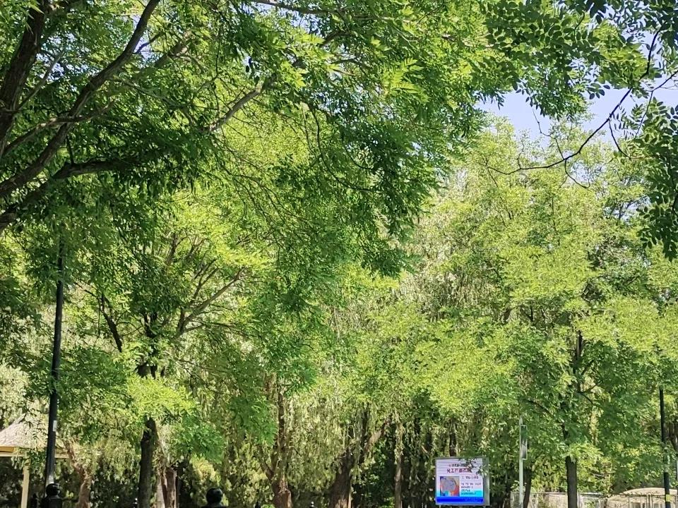 有随手拍的好看的风景照吗夏日来临时的新立河公园