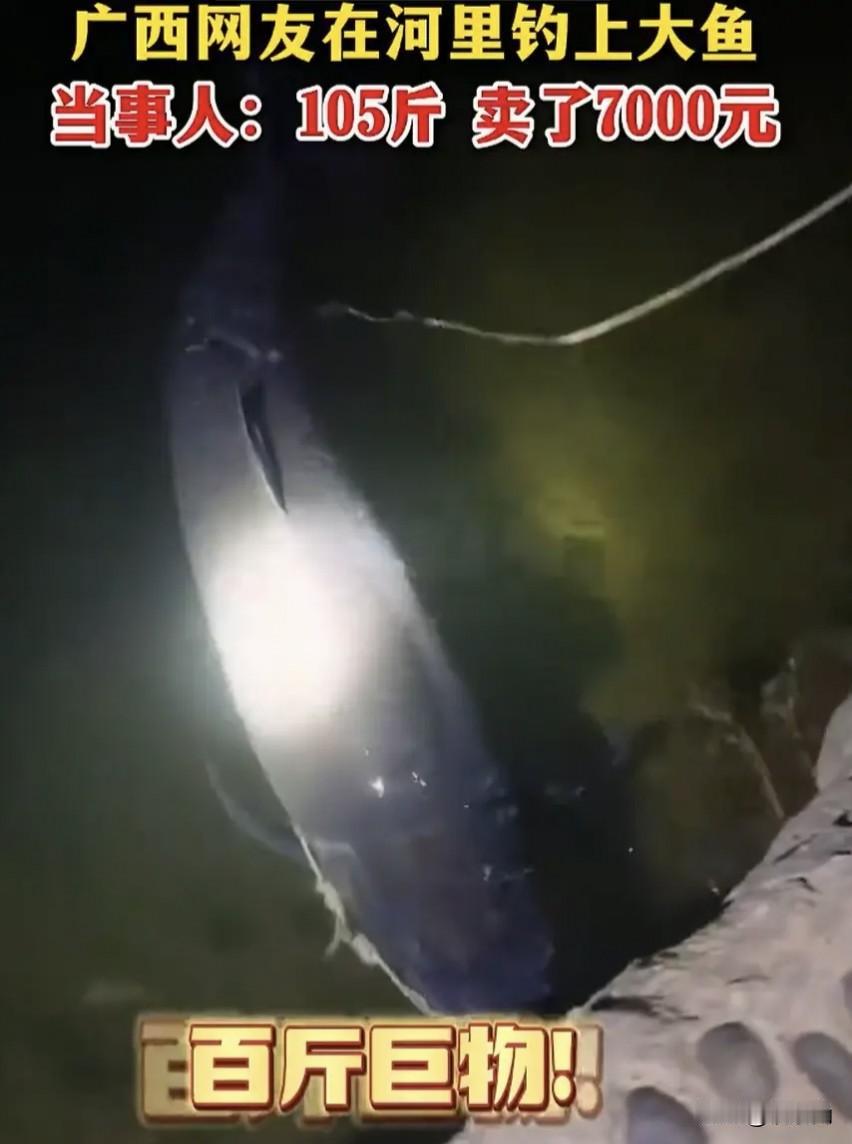 广西柳州，一男子到河边夜钓，原本只是想消磨时间、解解手痒，没想到鱼竿突然猛烈下沉