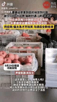 坏了良心了!河南一夫妻给饮料厂拉苹果，说好是货到付款，可将苹果送到目的地后，供应