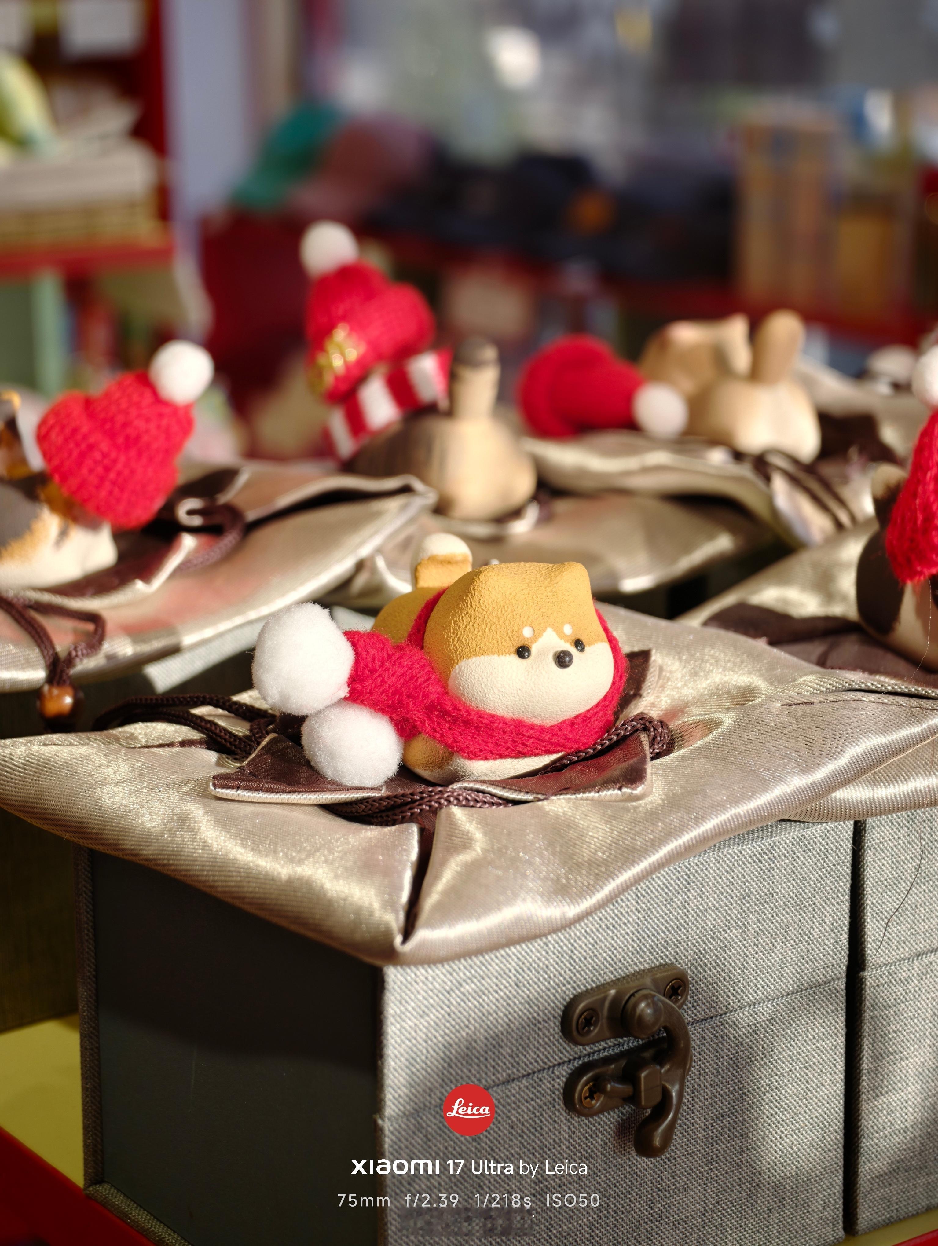 20 块和 2000 块相机，都不如手机的画质。看看我今天出去玩拍的照片 20块