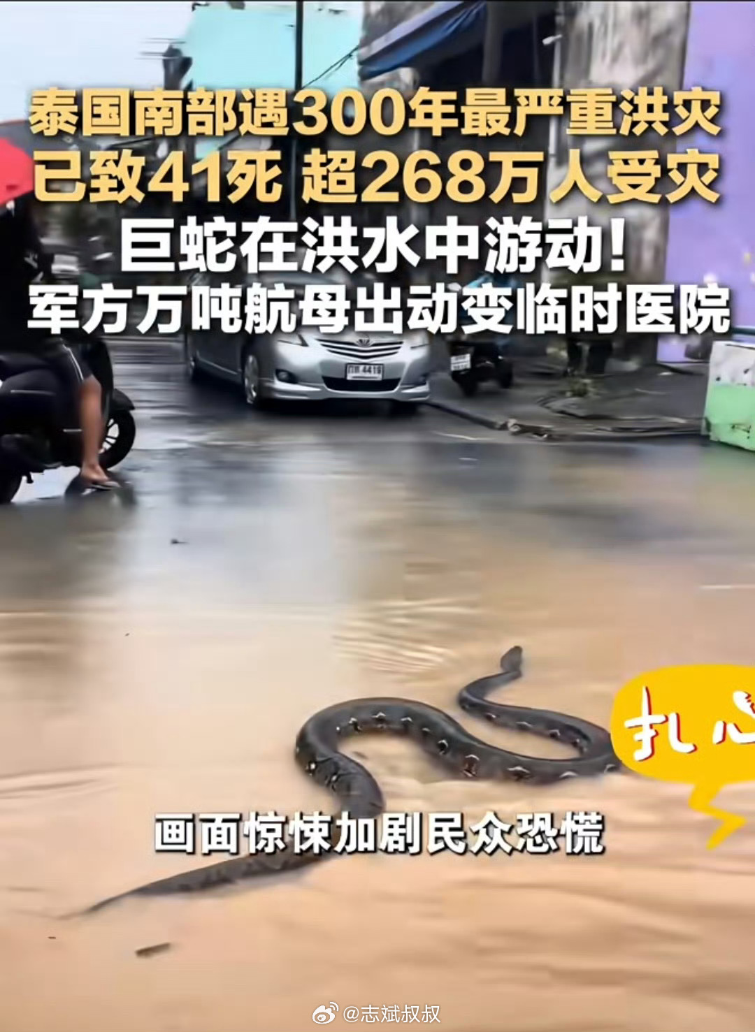 泰国洪灾后大量蛇和鳄鱼出没我去…这也太大了吧[泪奔][泪奔]  ​​​