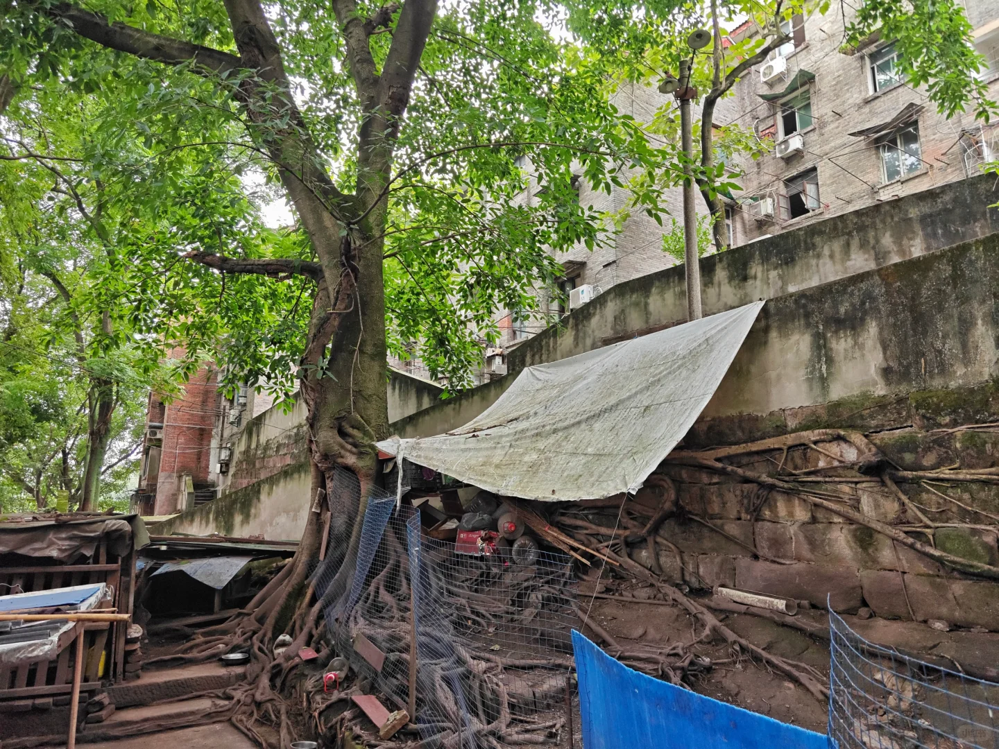 你听说过重庆红岩机器厂吗citywalk287