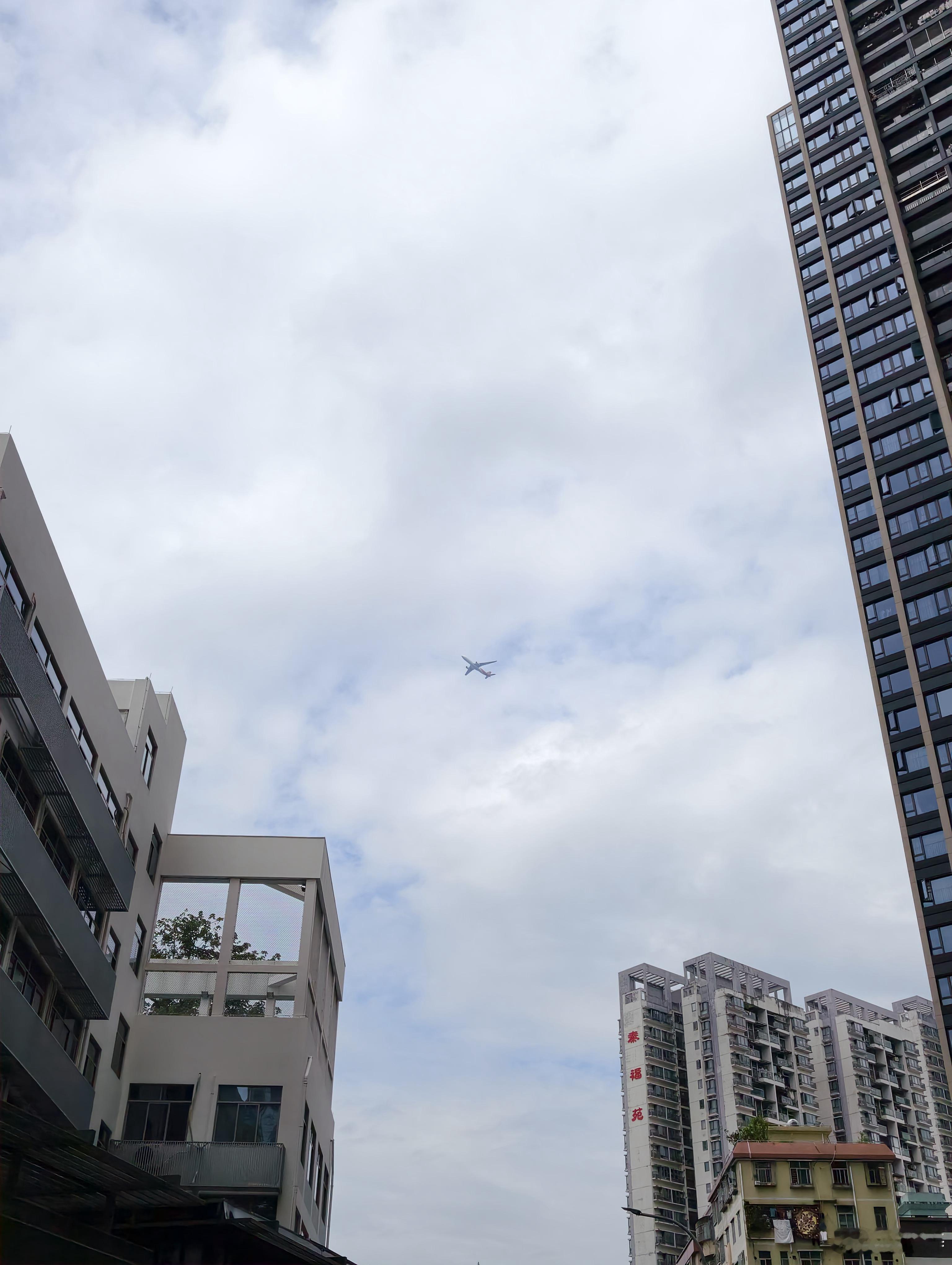 鸡零狗碎的生活。生活手记蛇口  ​​​