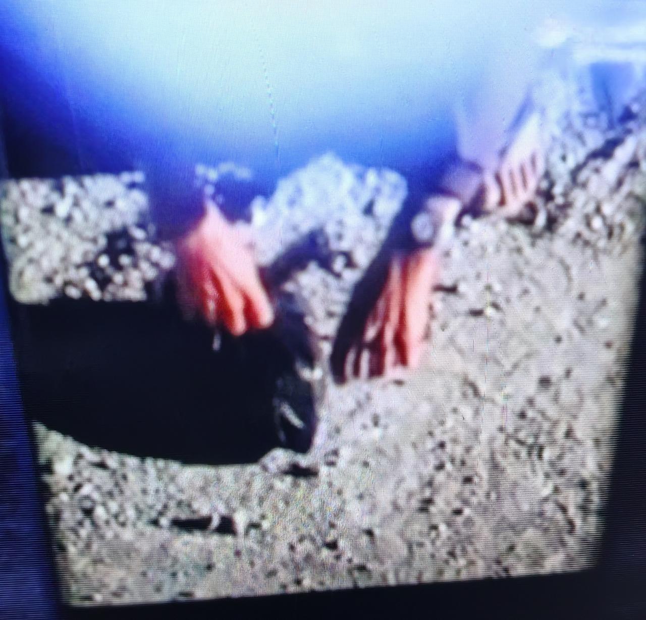 监控下深夜埋骨：邻居垃圾处理新招引冲突，现代邻里关系再亮红灯

夜深人静时，一个