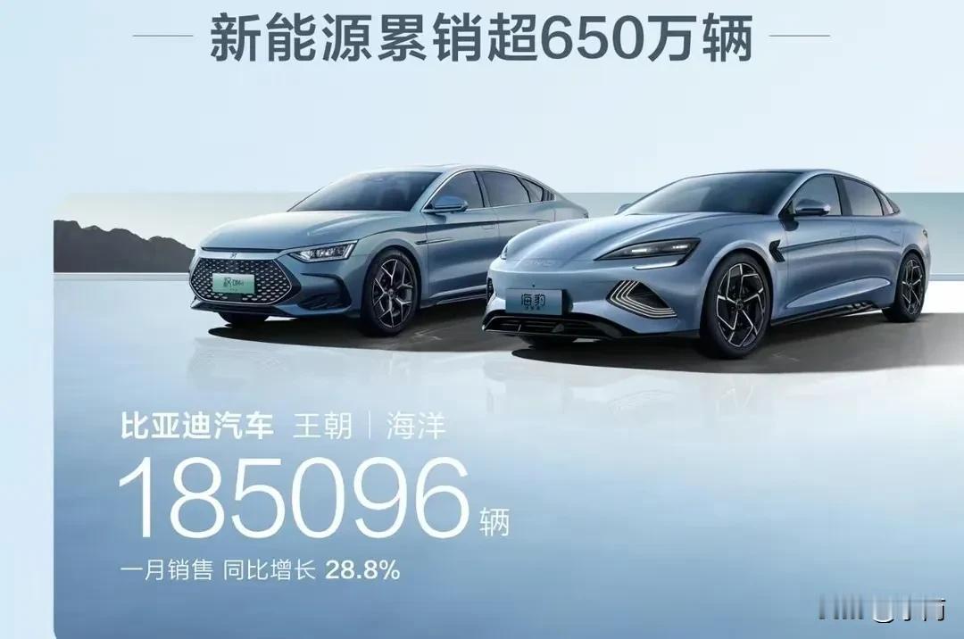 比亚迪公布了1月份的销量：201493辆，但较12月的34万辆，有着较大幅度的下