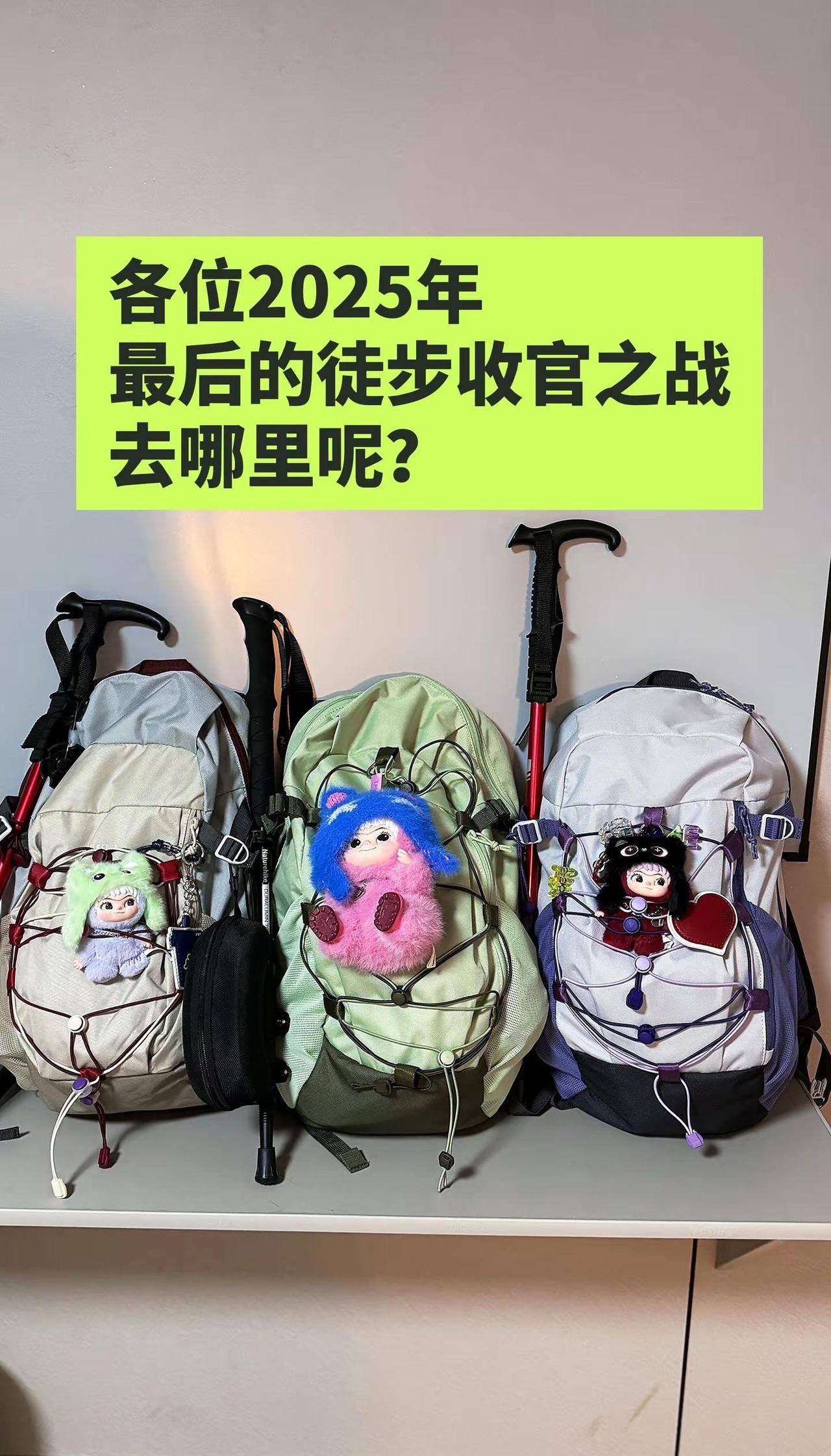各位2025年最后的徒步的收官之战去哪？ 徒步 收官之战 年末