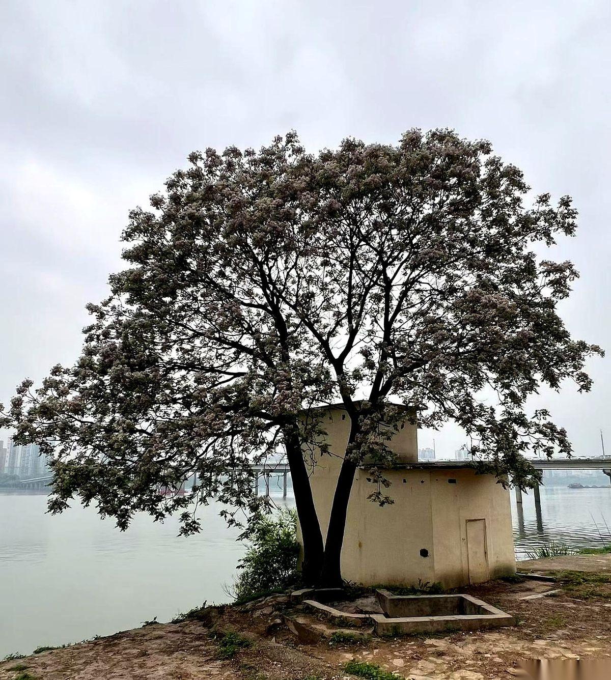 “你凭什么没经过我同意，就回娘家住？”
丈夫刚下班，领带扯在一边，一屁股陷进沙发