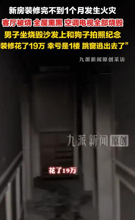 “太惨了！”7月20日九派新闻报道，河南郑州，一男子正要休息，忽然听见客厅传来动