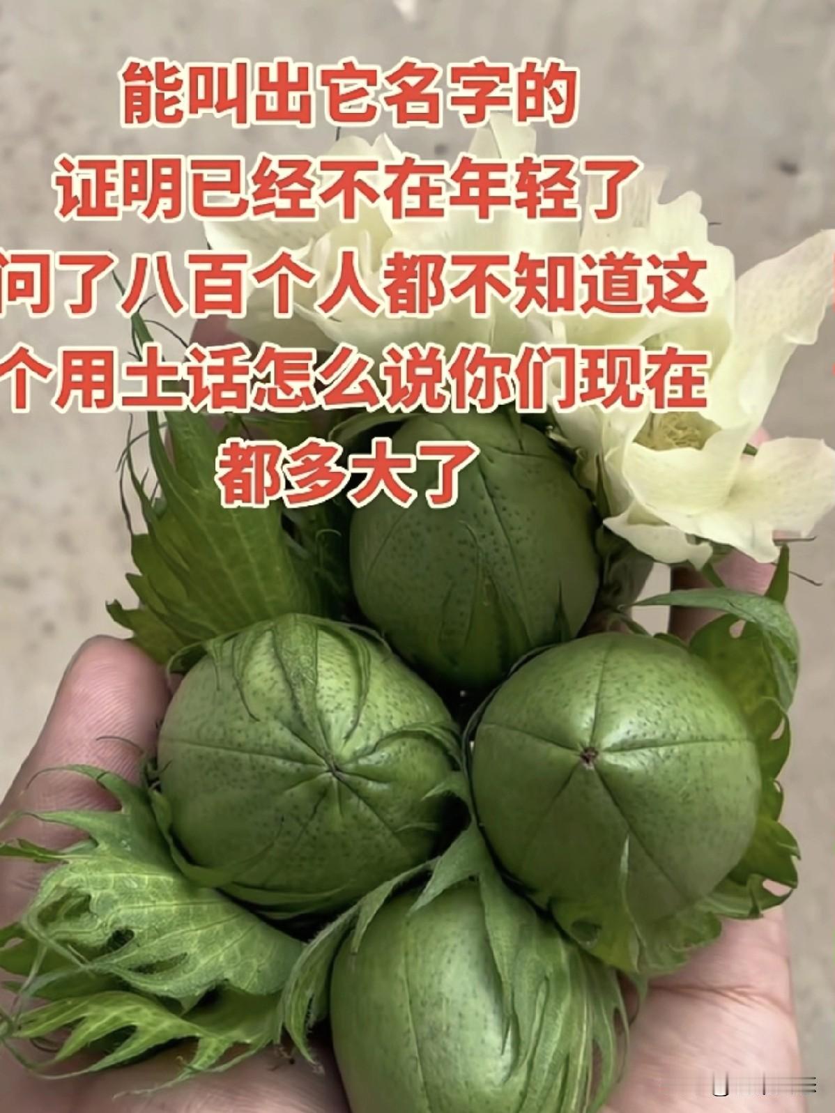 我敢打赌，90%的人都不知道这个是什么，反正我问了100个人都说不知道。