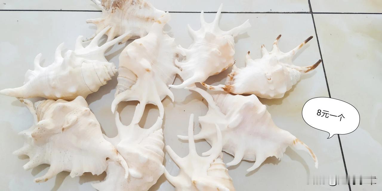 每张照片上都有单价哦！满50元包邮的，偏远地区除外。都是绝对超低的价格，大家快搭