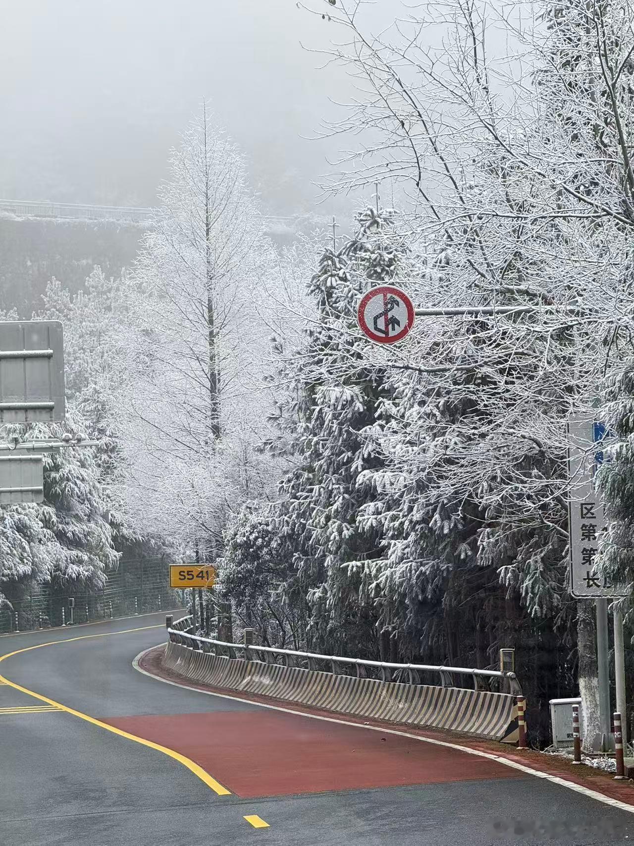 雪落井冈山，山林俱白头。每一片雪花，都是写给冬天的诗。雪景雪景摄影