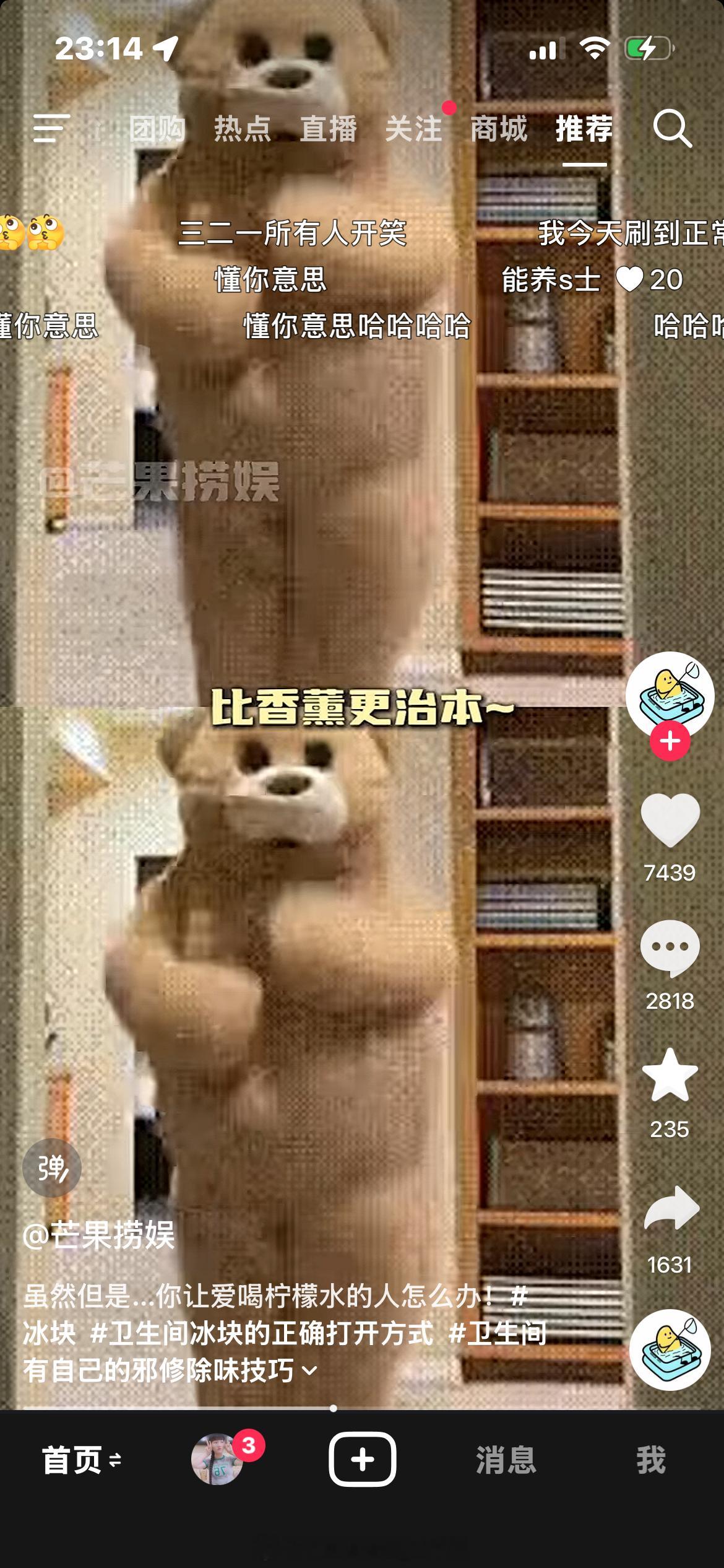 这视频这弹幕这评论区，这这这对吗？…