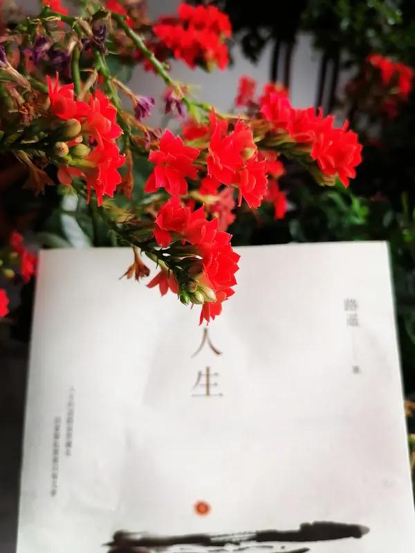 人生的真谛就像一场奇妙的旅行，有风雨交加时的迷茫与挣扎，也有阳光灿烂处的惊喜与欢