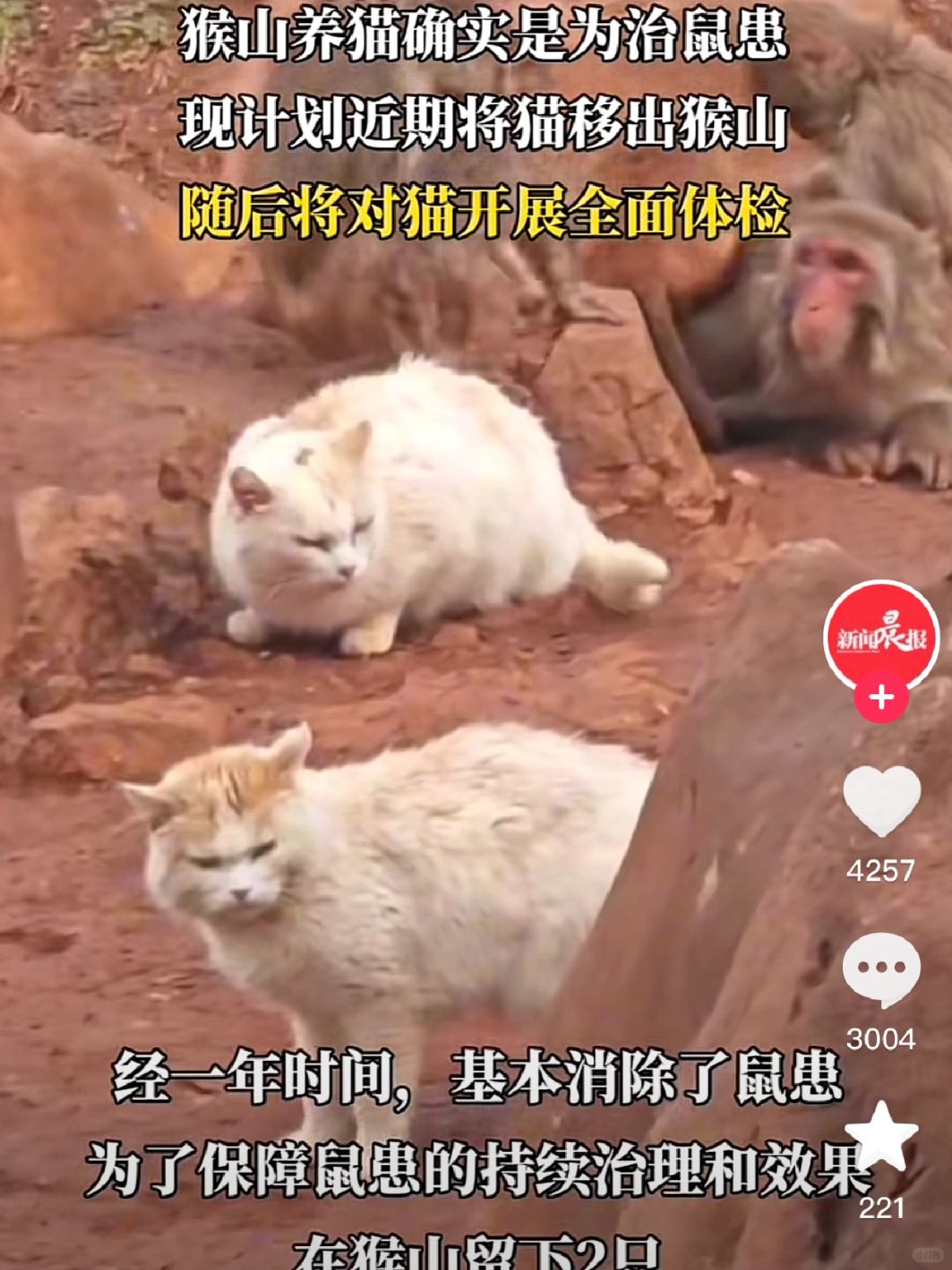 请善待它们！