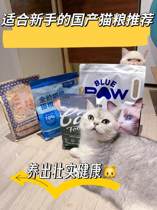 适合新手的国产猫粮推荐！