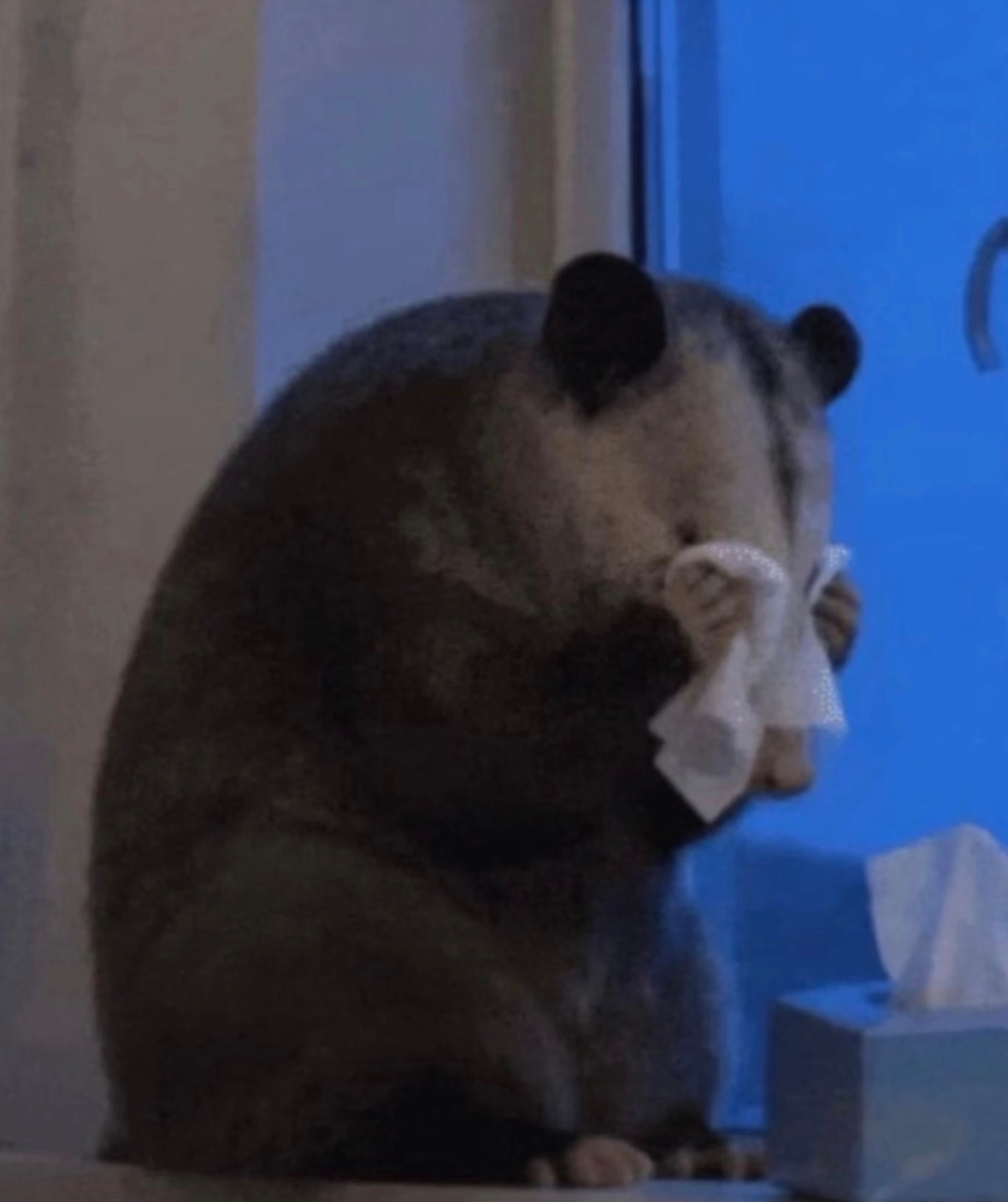 想看肖战的舞台想看肖战的剧想看肖战的活动追肖战精彩一生！ 
