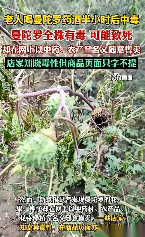 一口酒下肚，半小时后，人就不对了。
手脚乱蹬，嘴里呜呜说不出话，眼神直勾勾的，跟