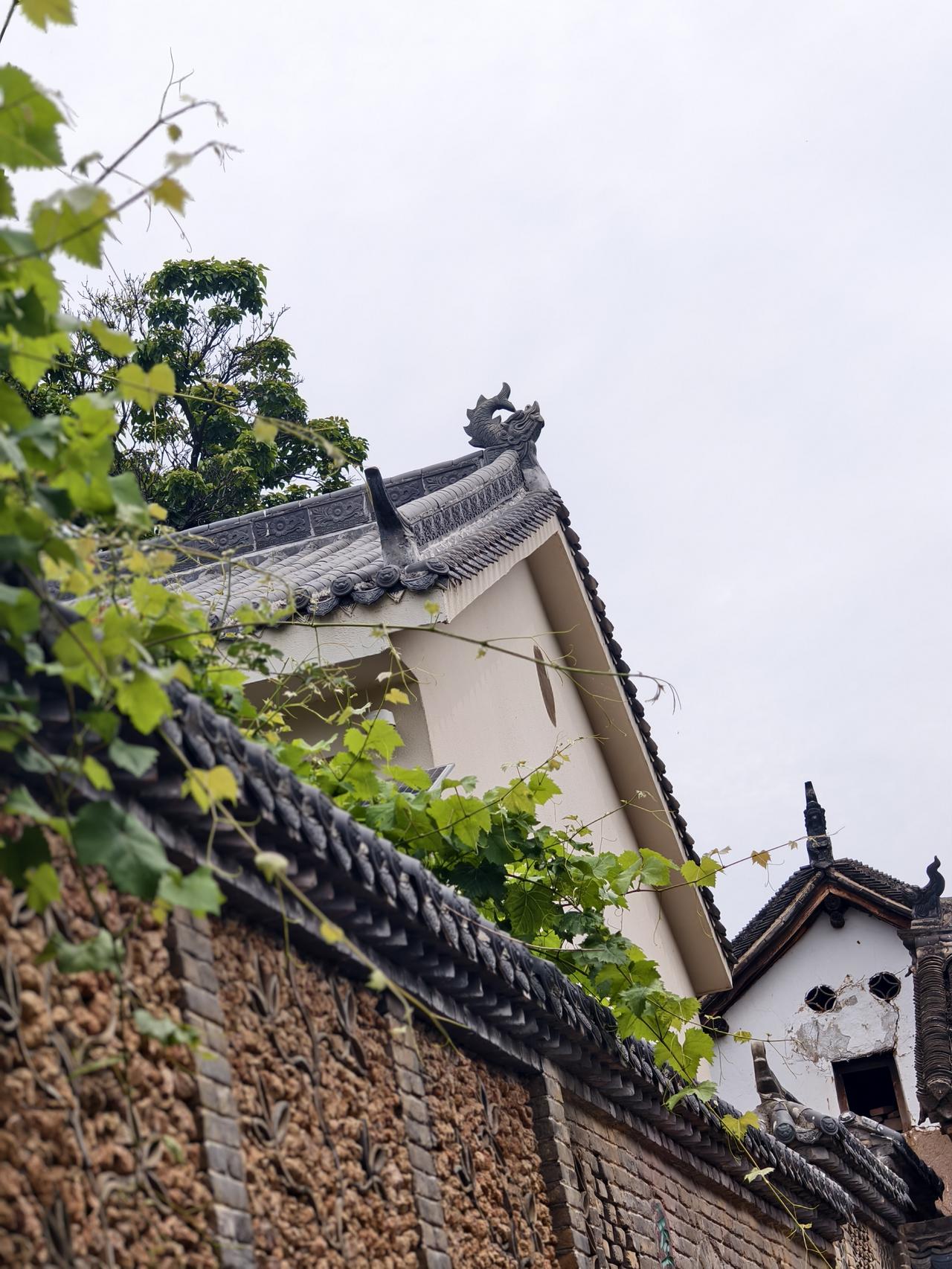 我感觉我患了城市病！原因是每天在城市出门看见车流就烦躁不堪。
特别是我家离高架桥