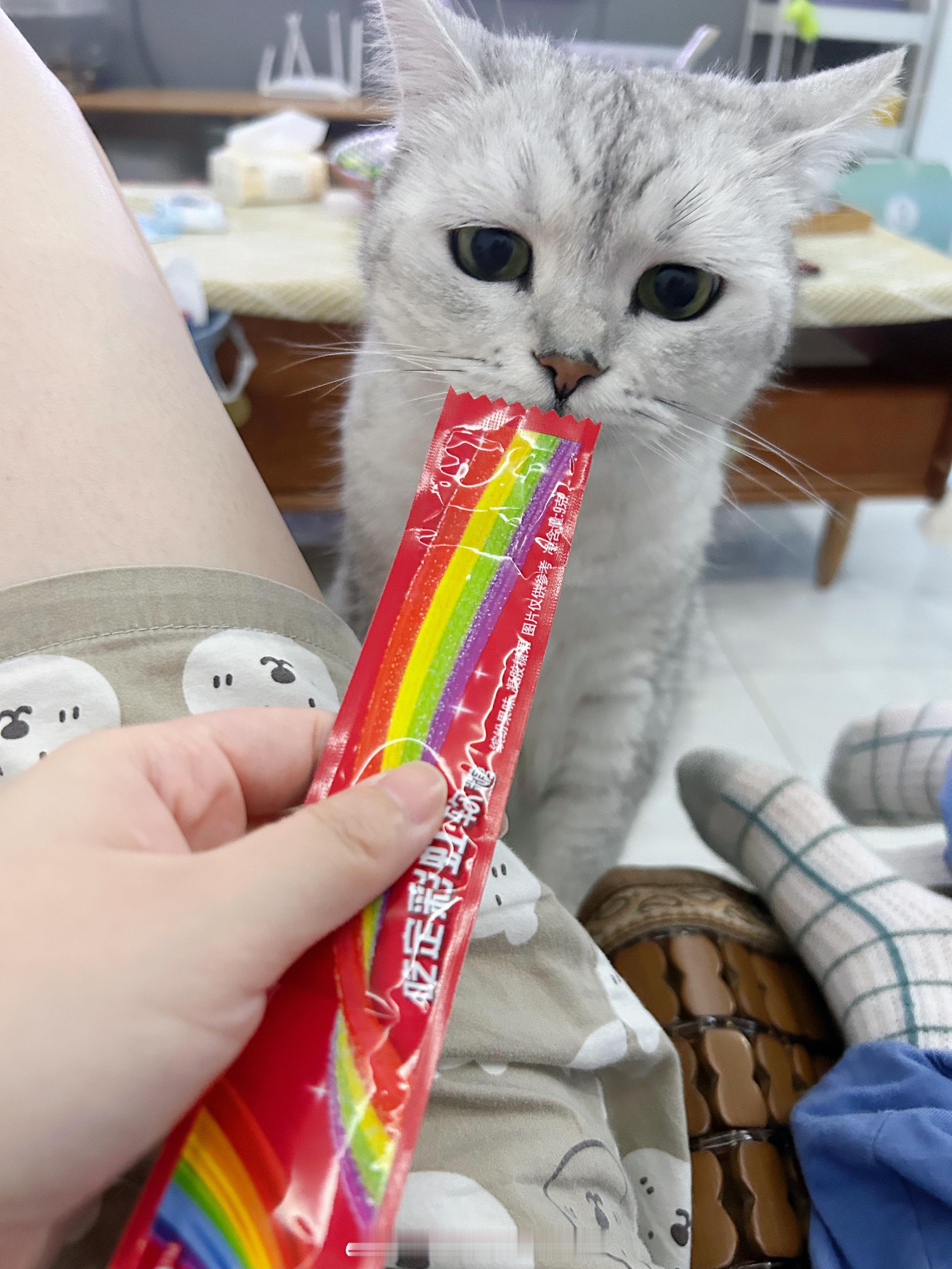 难以置信小孩哥吃了他的“猫条”[单身狗]#喵趣横生# ​​​