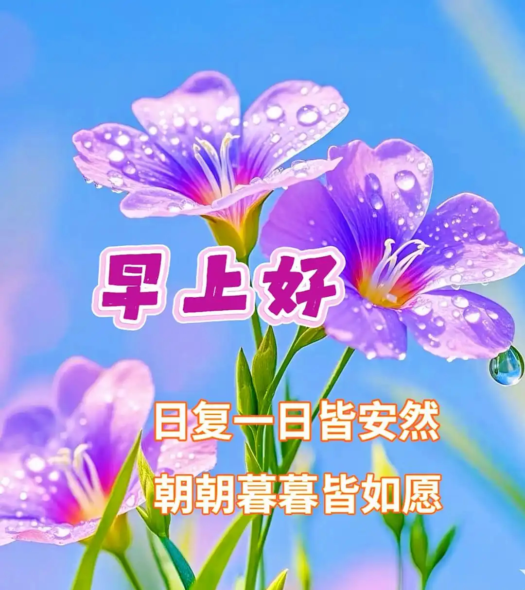 不管天气怎样，记得给自己的心情撑一把“开心伞”， 哪个瞬间让你觉得父母很爱你  
