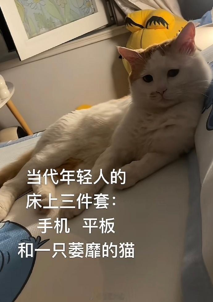 当代年轻人的床上三件套 ​​​
