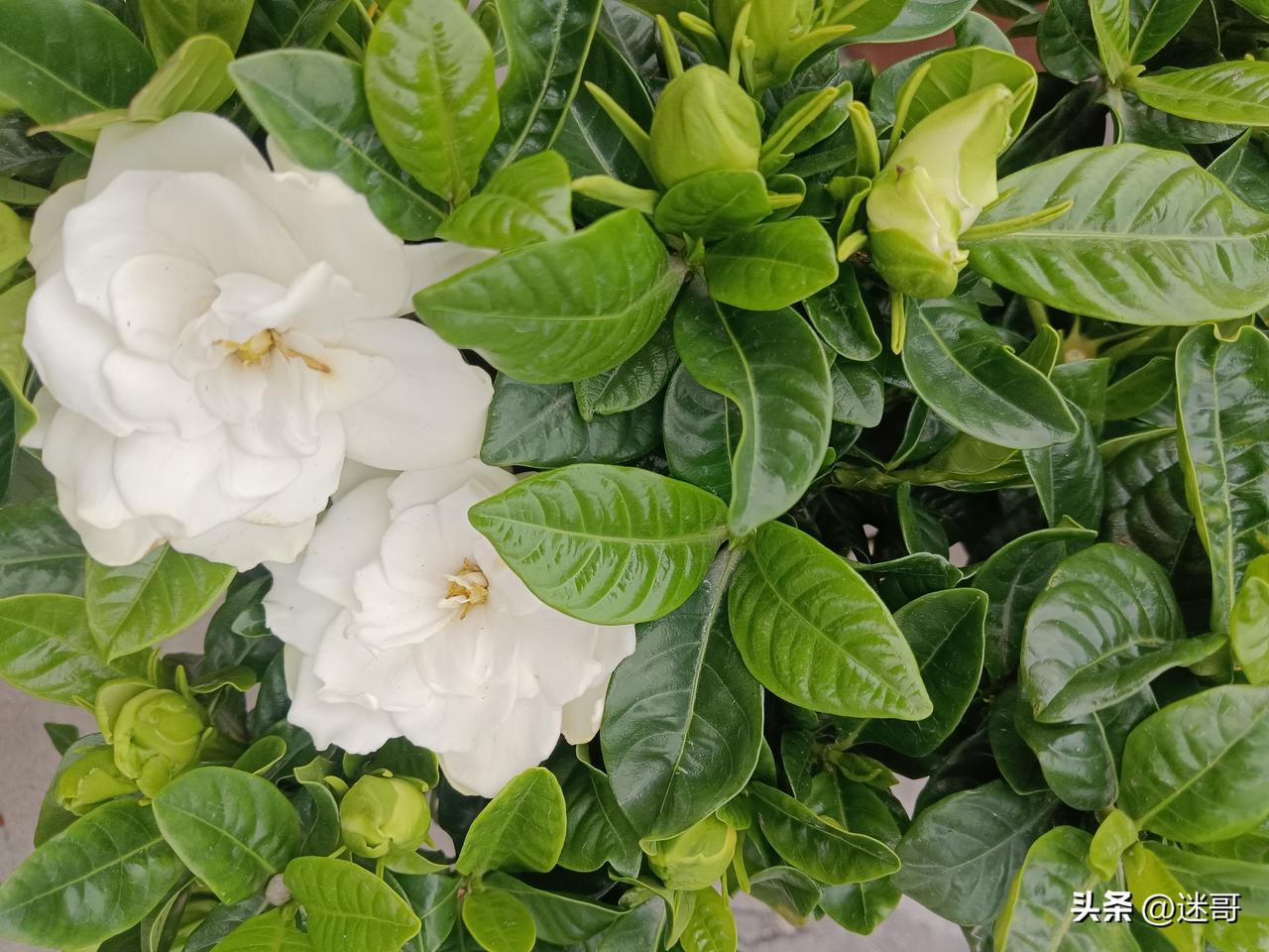 生活最好的状态，是眼里写满故事，脸上不见风霜。

生活语录感悟人 温柔系生活感悟