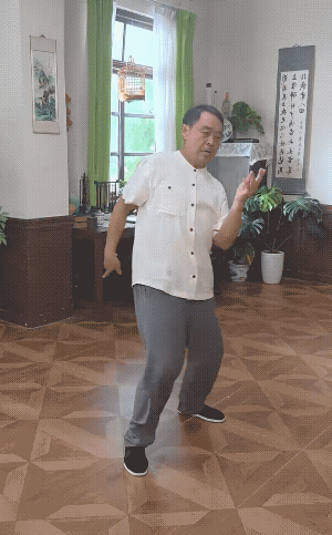 马保国：不管我练的是武功还是舞功，总之是我自创的，全世界我是独一份儿，而且是谁也