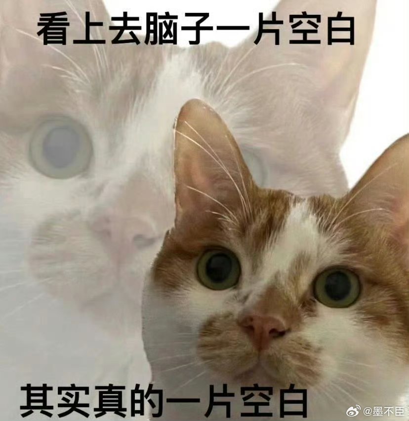 早上好。又是被原地起跳的小胖子炮弹撞醒的一天。 