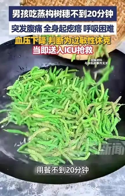 “悲剧还是发生了！”河南许昌，一男子带儿子去饭店吃饭，点了一份蒸构树穗，不料，吃