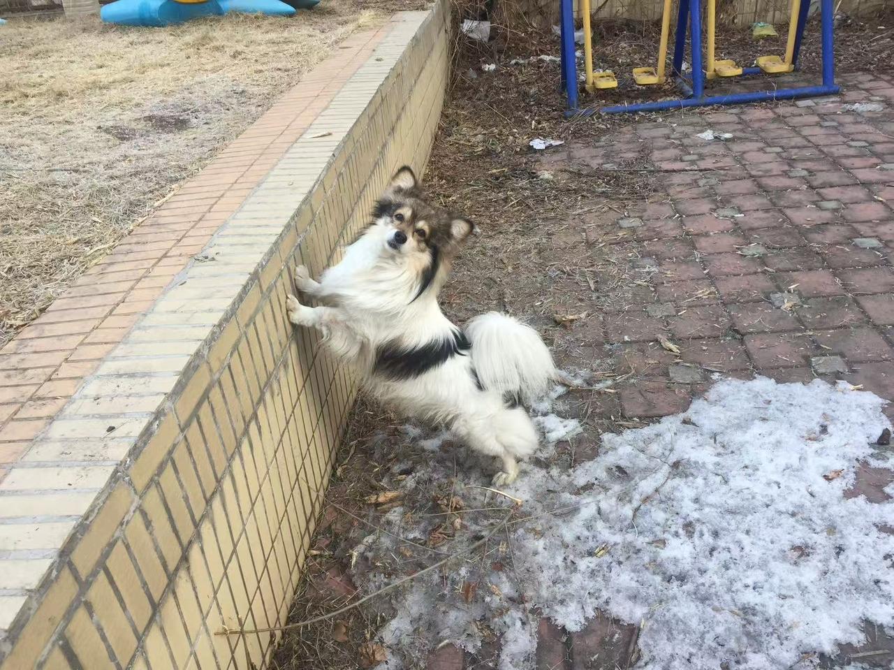 冰雪消融日，春暖花开时！