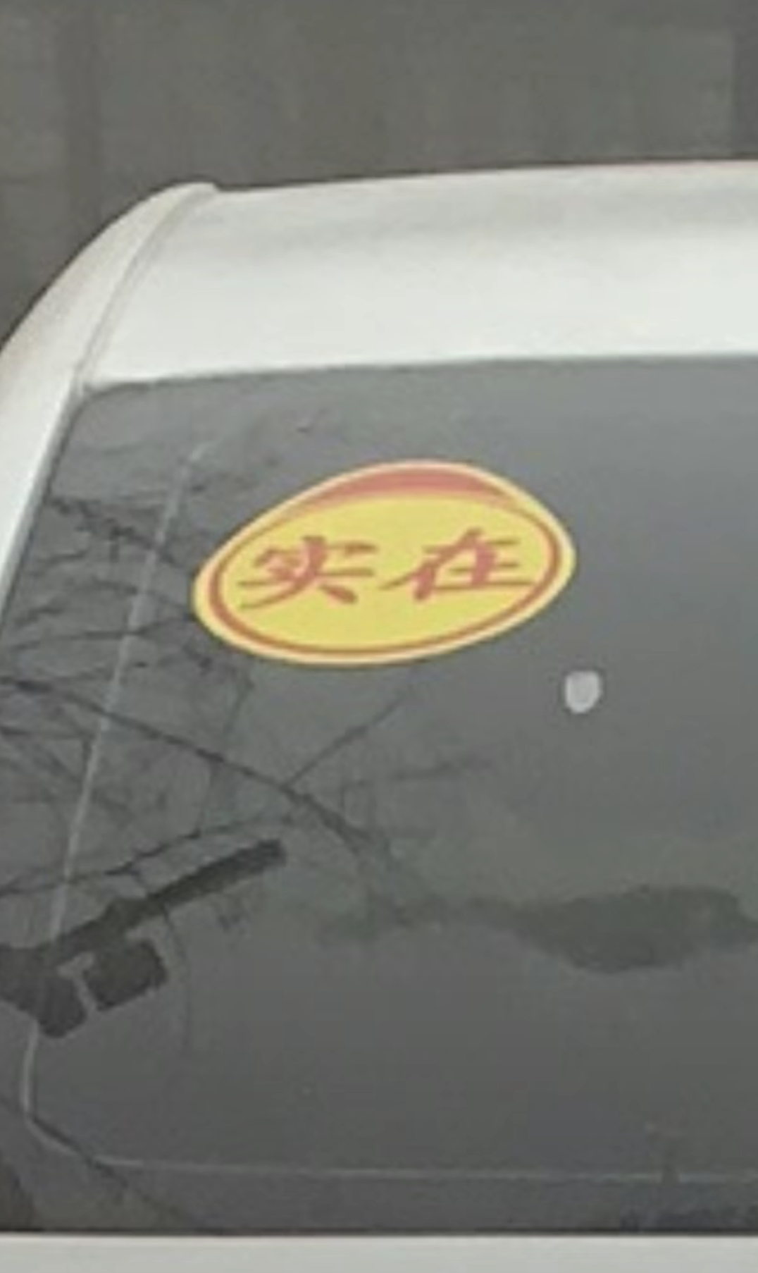 [允悲][允悲][允悲]#新年快乐漫游指南##汽车# ​​​