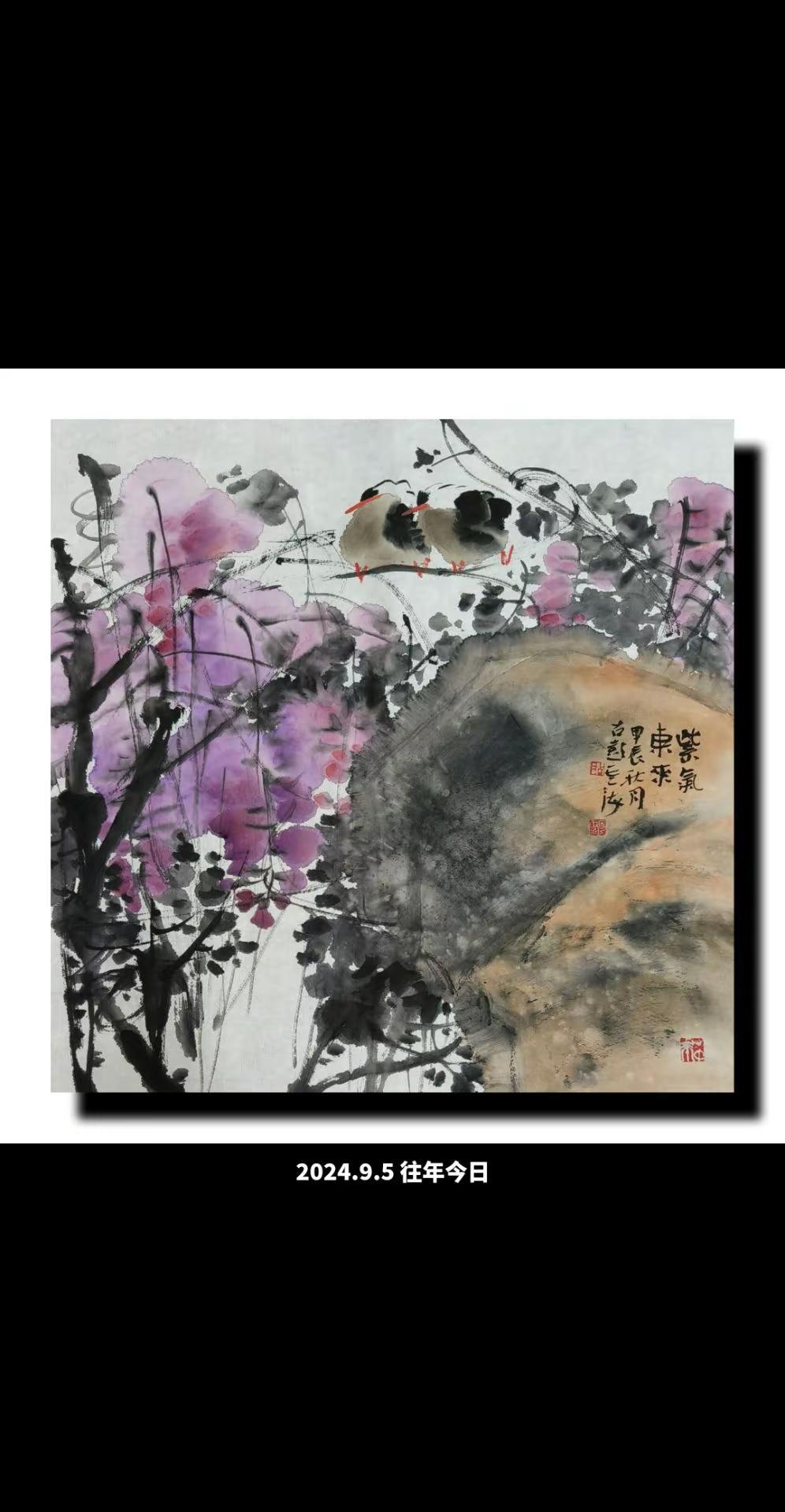 徐州胡云海花鸟画旧作。国画雅趣 中国画的笔墨情趣 花鸟画意 国画写意紫藤