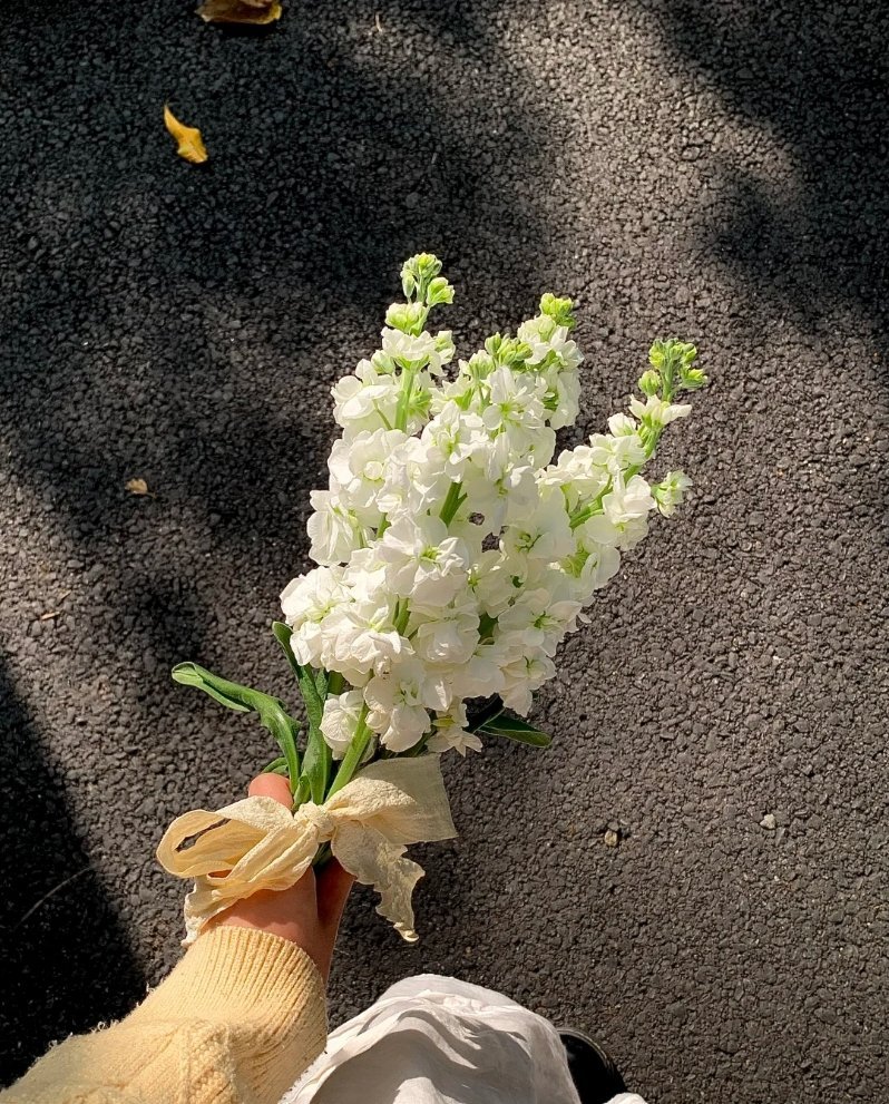 这一年风好大 吹走了我原有的骄傲 也失去了自己最初的模样 . 