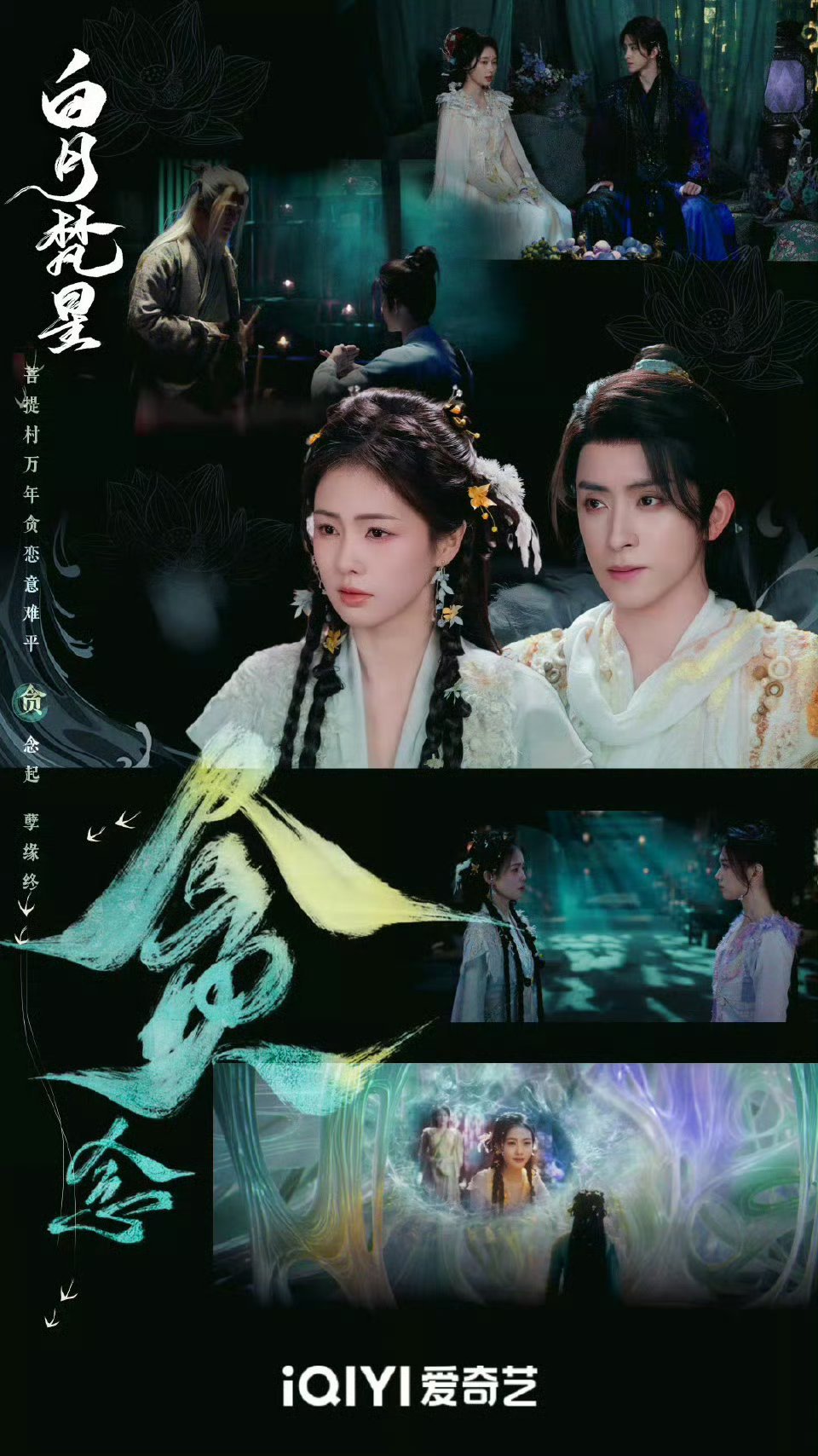 你是因为谁去看的《白月梵星》？ 