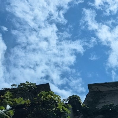 每日一善 🌻阳光信用 🌻每日一善善良是一种修养，善待他人就是善待自己，要想得