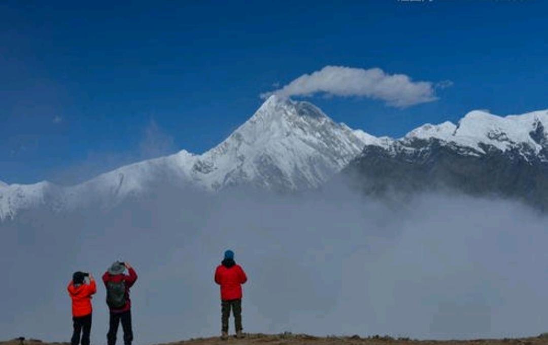 为什么现在越来越的人看到大山深处一处干净整洁的土房子那怕没有网络没有灯火辉煌的热