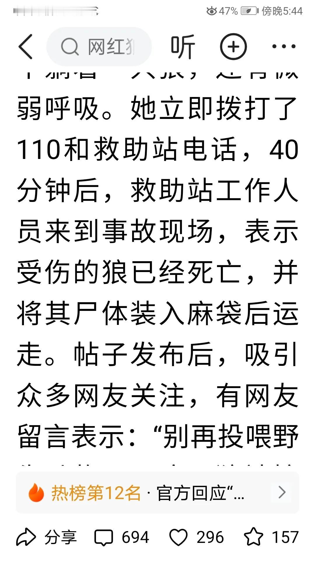 果然是个有情有义旳大色狼，为见女车主一面，不惜以身犯险投身于她的车轮之下。
狼在