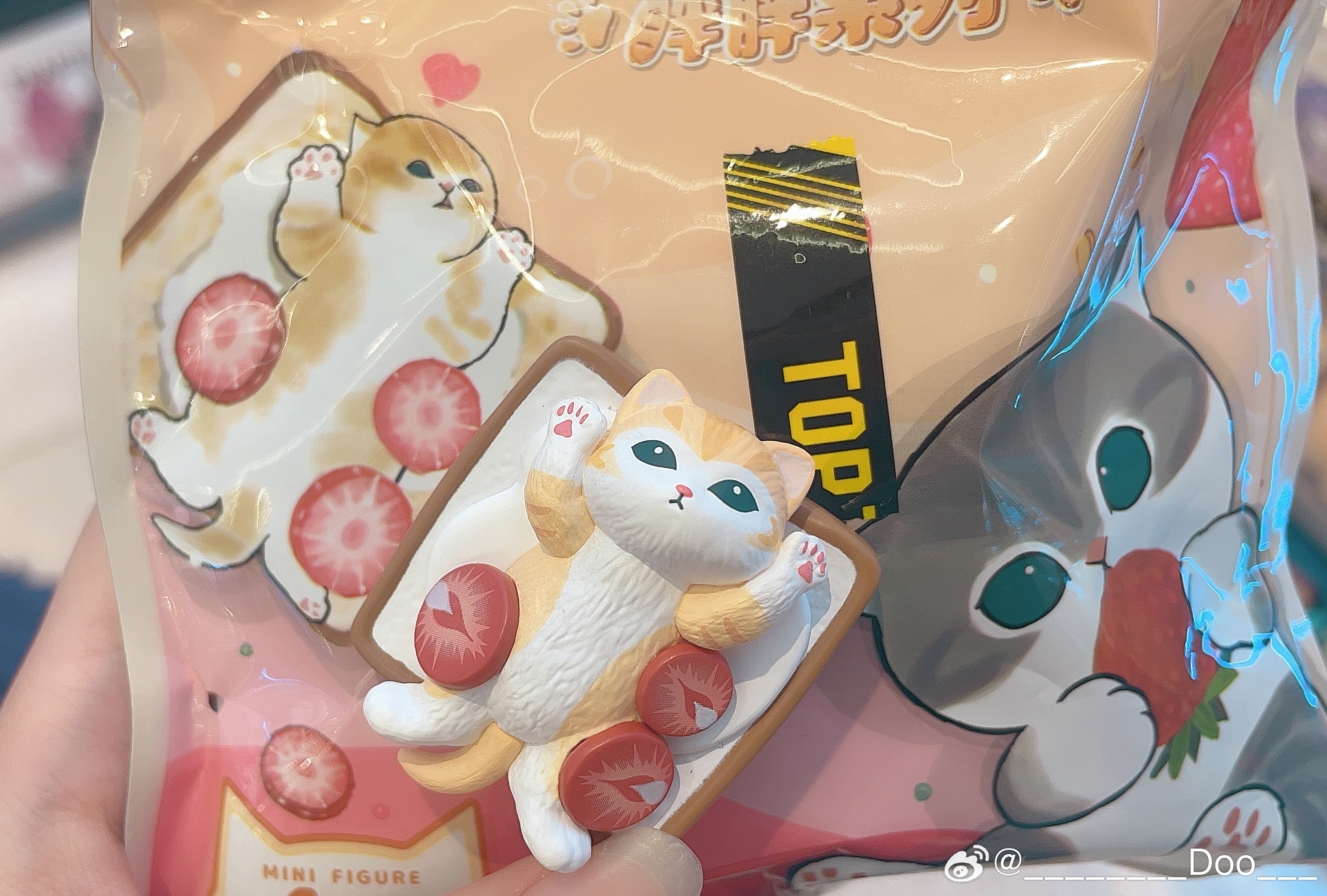 左脑：咪是不是看起来有点太不一样了。右脑：购买小猫猫！ 