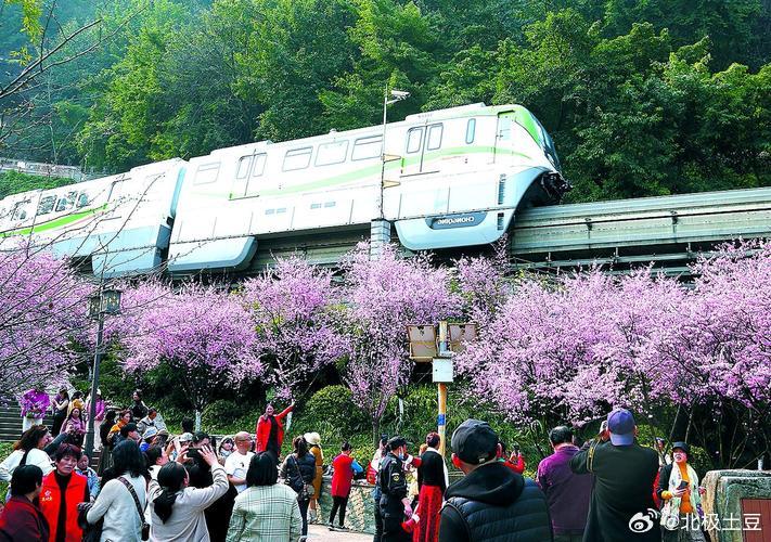 赏花踏青特色主题专列来了刷到这个热搜停不下来，确实有值得聊聊的地方👀✅ 热度说