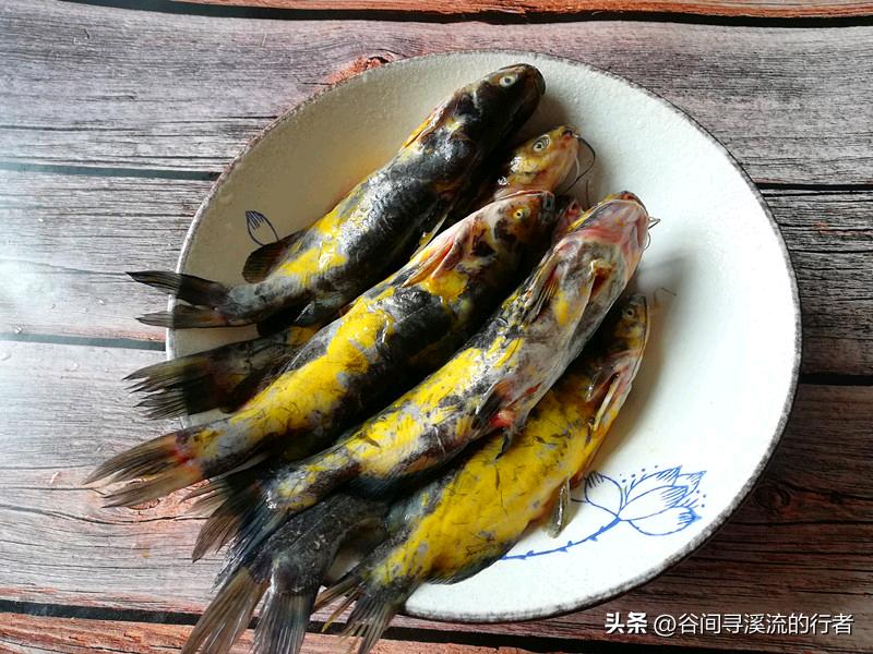 去菜市场买黄桑鱼，本想炖锅豆腐给家人补补，结果回家清洗时，我直接傻眼了！

满手