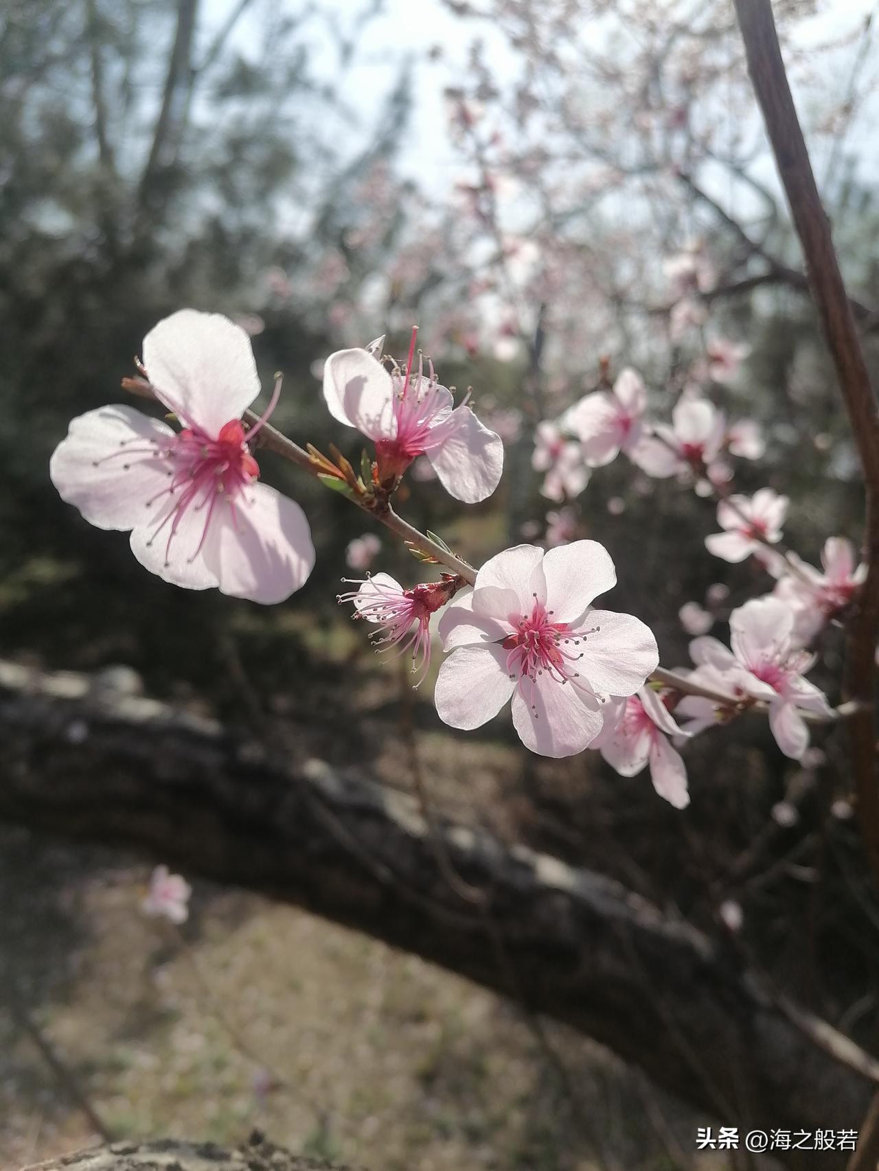 七分饱，活到老，适度少吃是最低成本的养生方式之一 。

 少吃最直接的好处就是减