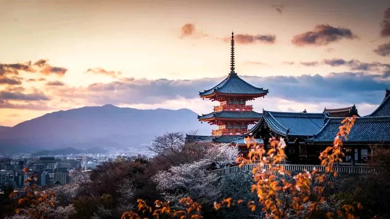 日本为了填补IT和工程劳动力缺口，打算引进5万印度人才，此计划遭多地抗议游行。
