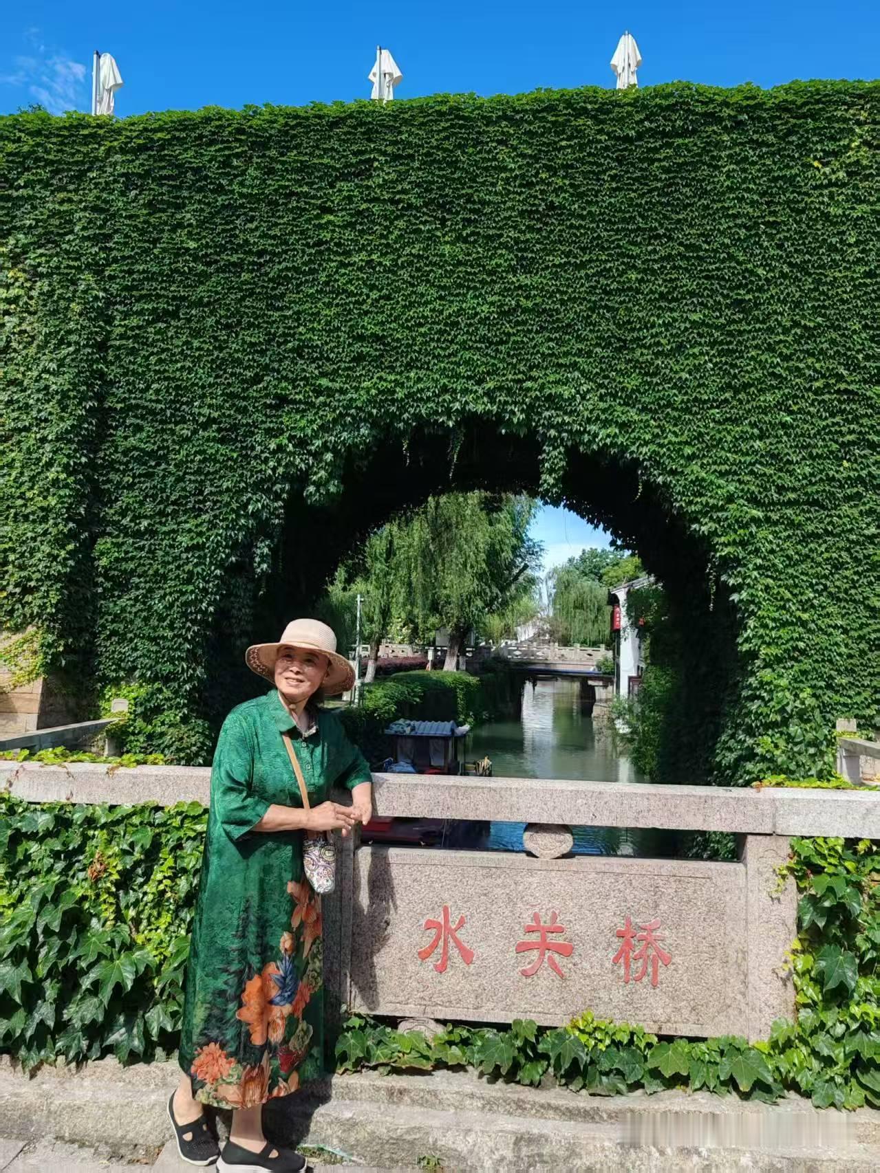 分享一下你随手拍的照片苏州老阊门城墙，城墙上爬满了绿植，城墙上开满了凌霄花。